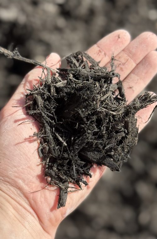 Midnight Black Bark Mulch