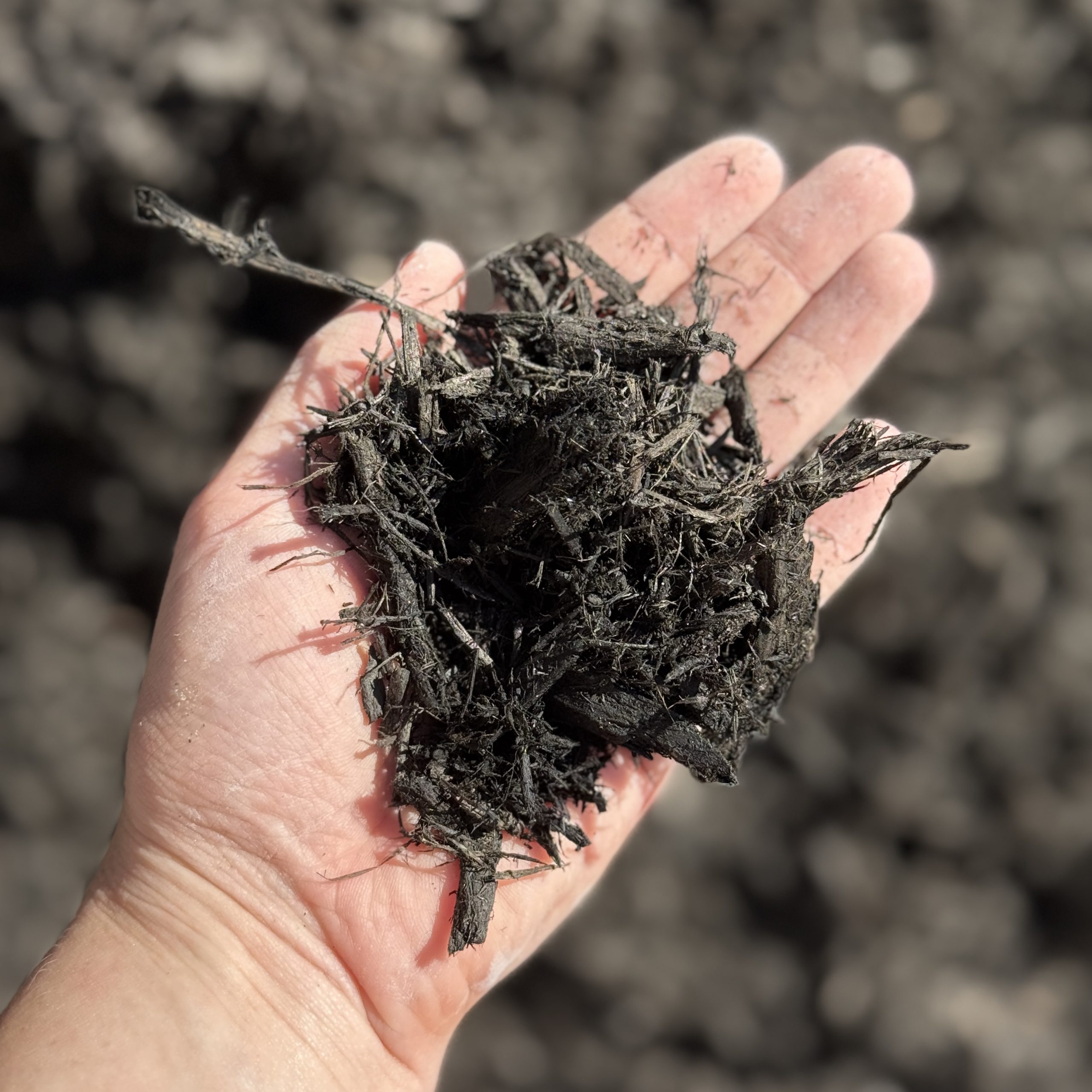 Dyed Bark Mulch
