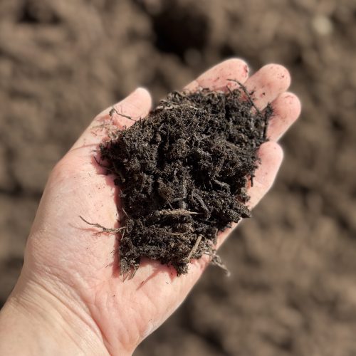 Composted Black Bark Mulch