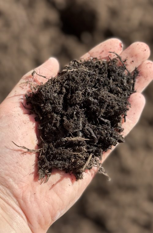 Composted Black Bark Mulch