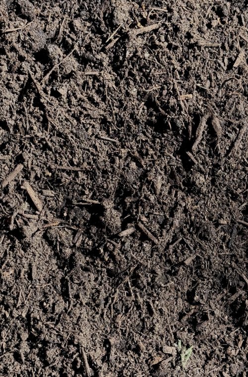 Garden Soil