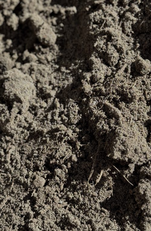 Turf Blend