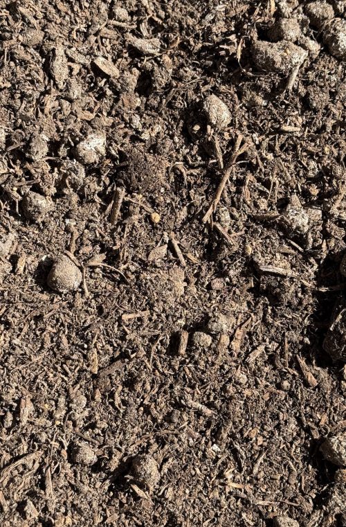 Mushroom Manure