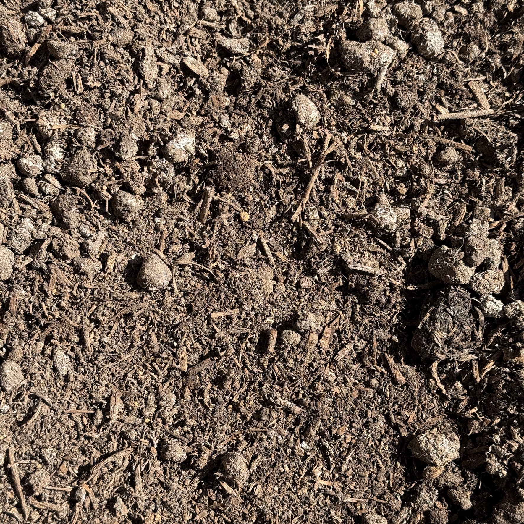 Mushroom Manure