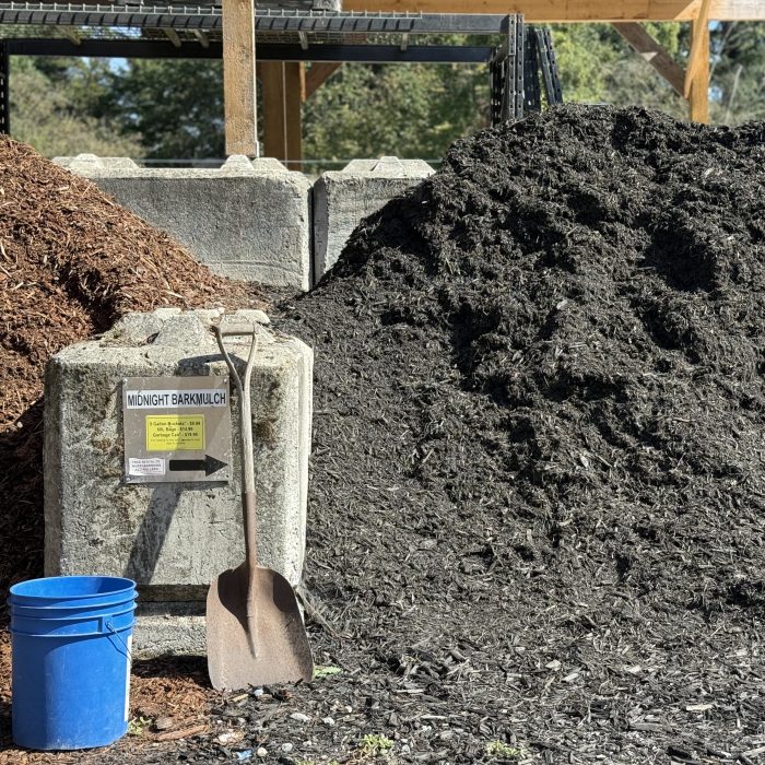 Midnight Black Bark Mulch - Image 2