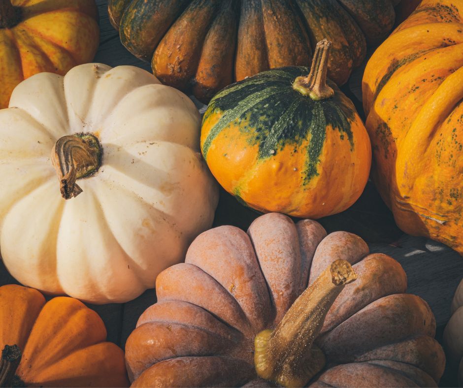 October Gardening Chores