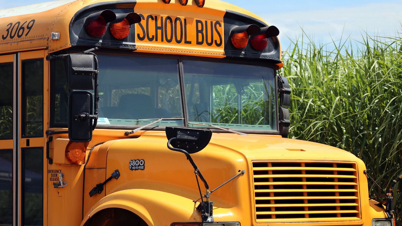 School Field Trips