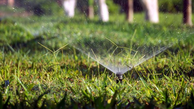 Lawn Maintenance