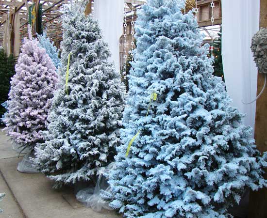 three flocked christmas trees one blue one white one pink