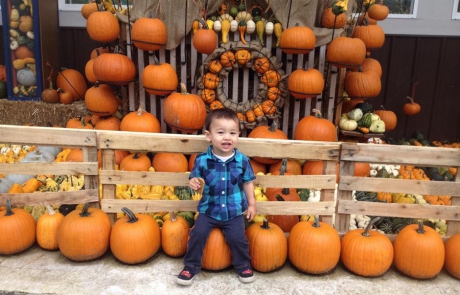 boy on bench at pumpkin patch