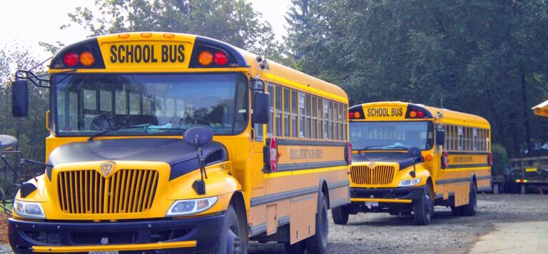 row of two orange buses